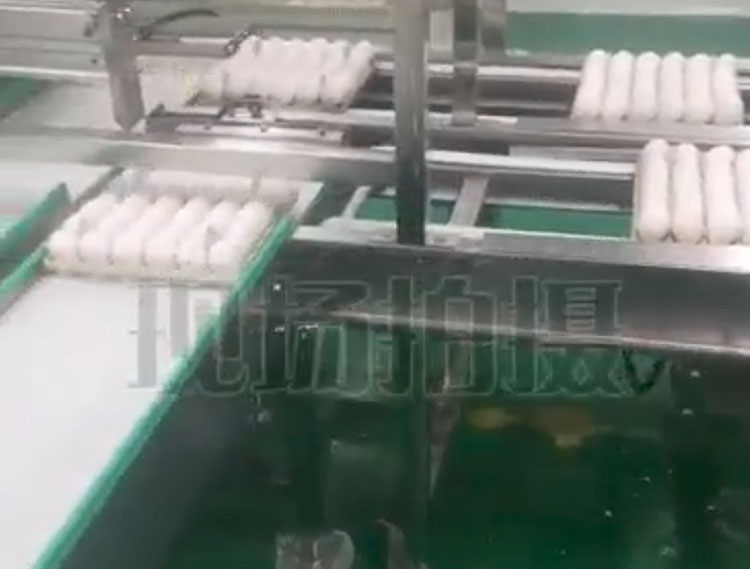生物疫苗雞蛋檢測提取輸送線(xiàn)